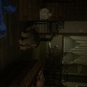 Meet your Posher, Mavis